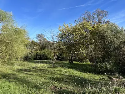 Maison neuve, 115 m²