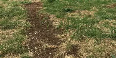 Maison neuve, 64 m²