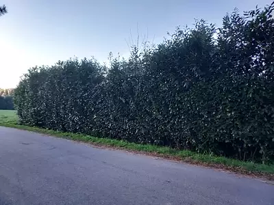 Maison neuve, 78 m²