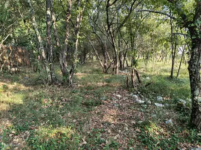 Terrain à bâtir, 717 m²