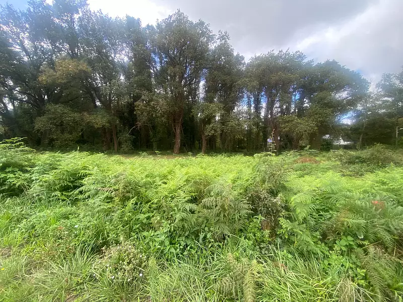 Terrain à bâtir, 690 m² - La Chapelle-des-Marais (44410)