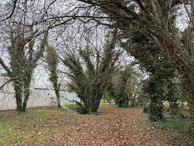 Terrain à bâtir, 1 900 m² - Donnery (45450)