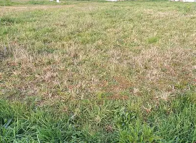 Maison neuve, 63 m²