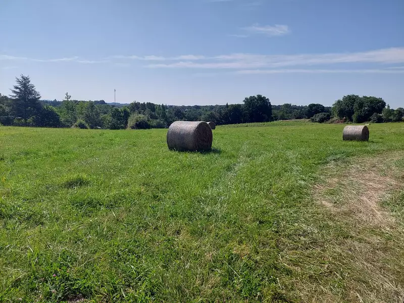 Terrain à bâtir, 700 m² - Gragnague (31380)