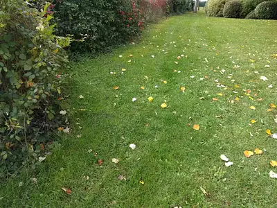 Maison neuve, 89 m²