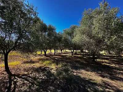 Maison neuve, 110 m²