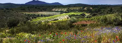 Maison neuve, 101 m²