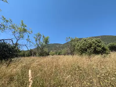 Terrain à bâtir, 1 290 m²