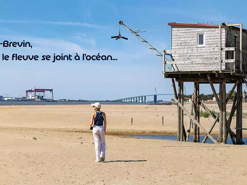 ALBATROS - Saint-Brevin-les-Pins (44250)