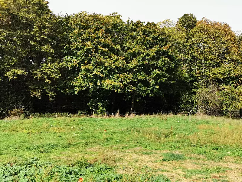 Maison neuve, 82 m² - Genillé (37460)
