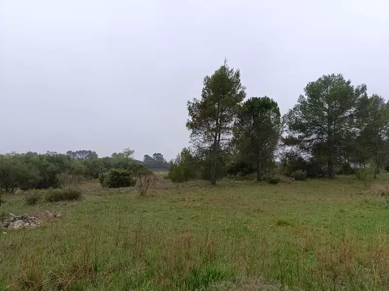Maison neuve, 100 m² - Valflaunès (34270)