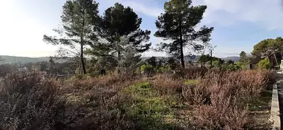 Terrain à bâtir, 774 m²