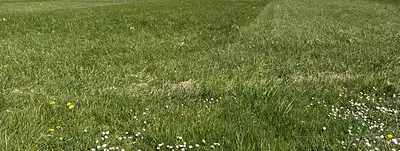 Maison neuve, 79 m²