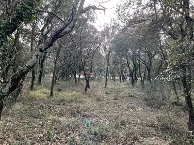 Terrain à bâtir, 750 m²