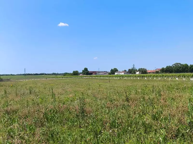 Terrain à bâtir, 1 050 m² - Saint-Simon (16120)