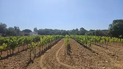 Terrain à bâtir, 540 m²