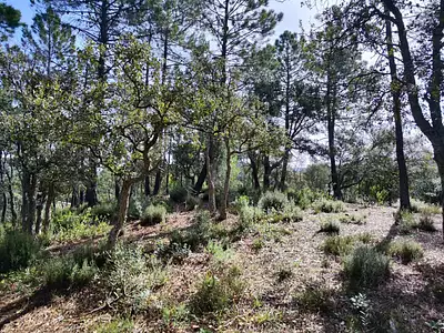 Terrain à bâtir, 713 m²