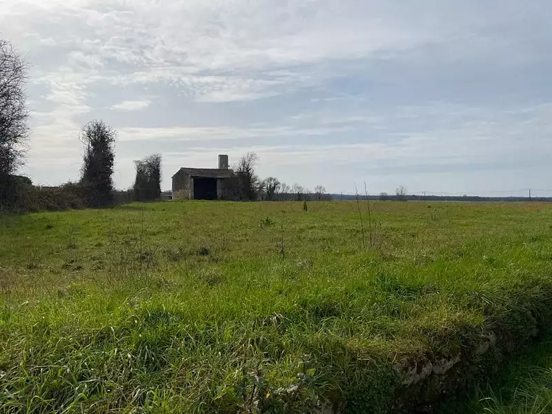 Terrain à bâtir, 559 m² - Plassay (17250)