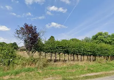 Terrain à bâtir, 711 m²