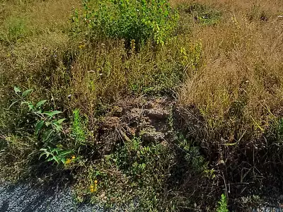 Terrain à bâtir, 551 m²