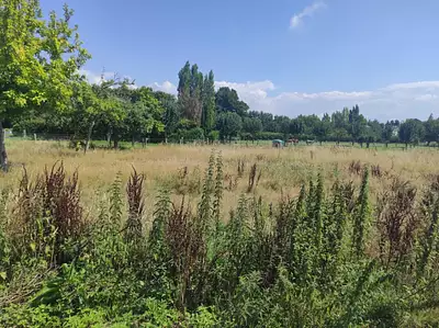 Terrain à bâtir, 669 m²