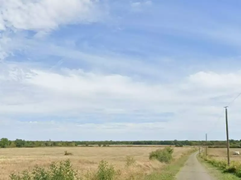 Terrain à bâtir, 1 000 m² - Pibrac (31820)