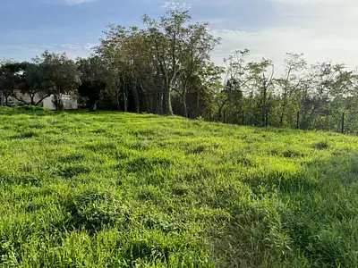 Maison neuve, 98 m²