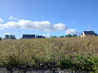 Terrain à bâtir, 545 m²