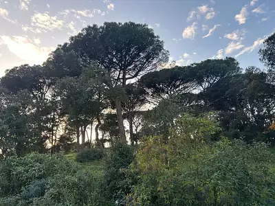 Maison neuve, 150 m²