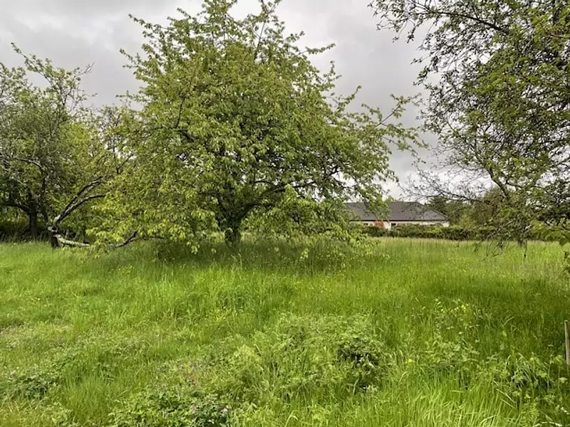 Terrain à bâtir, 700 m² - Blanzy (71450)