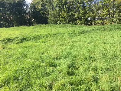 Maison neuve, 100 m²