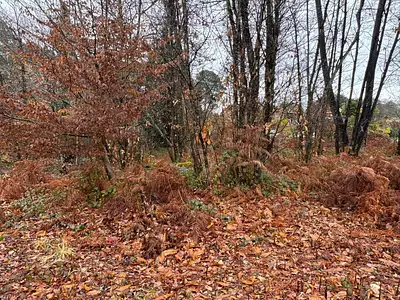 Maison neuve, 80 m²