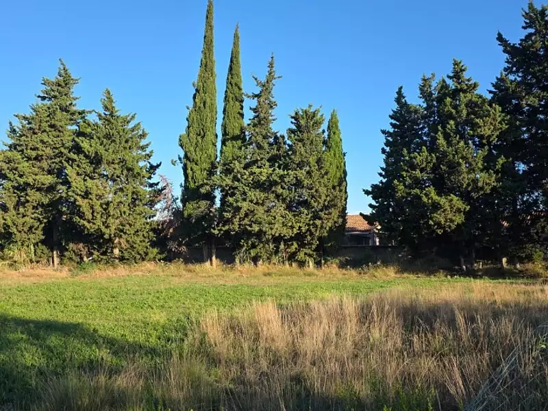 Terrain à bâtir, 310 m² - Istres (13800)