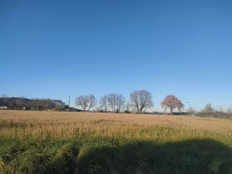 Maison neuve, 100 m² - Aubais (30250)