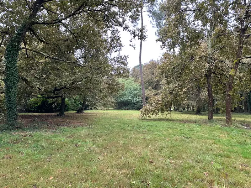 Terrain à bâtir, 600 m² - Gujan-Mestras (33470)