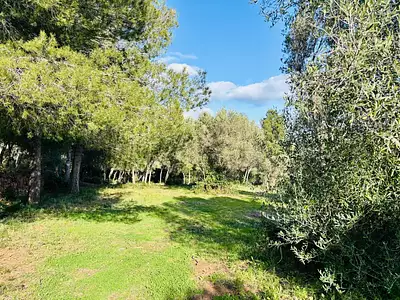 Terrain à bâtir, 769 m²