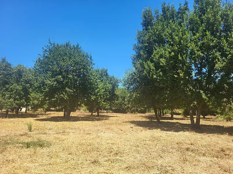 Maison neuve, 95 m² - Montignargues (30190)