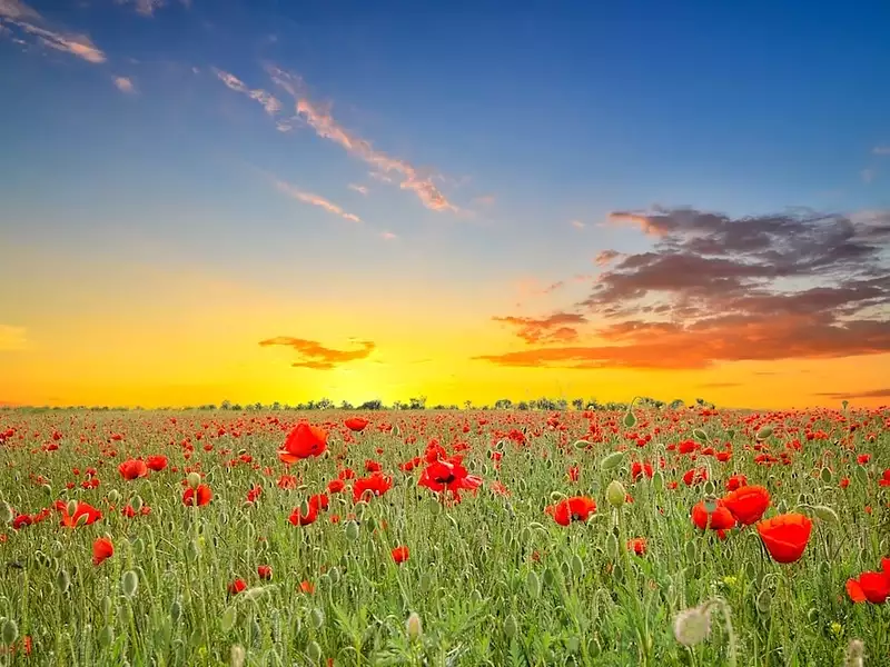 Terrain à bâtir, 672 m² - Coulon (79510)