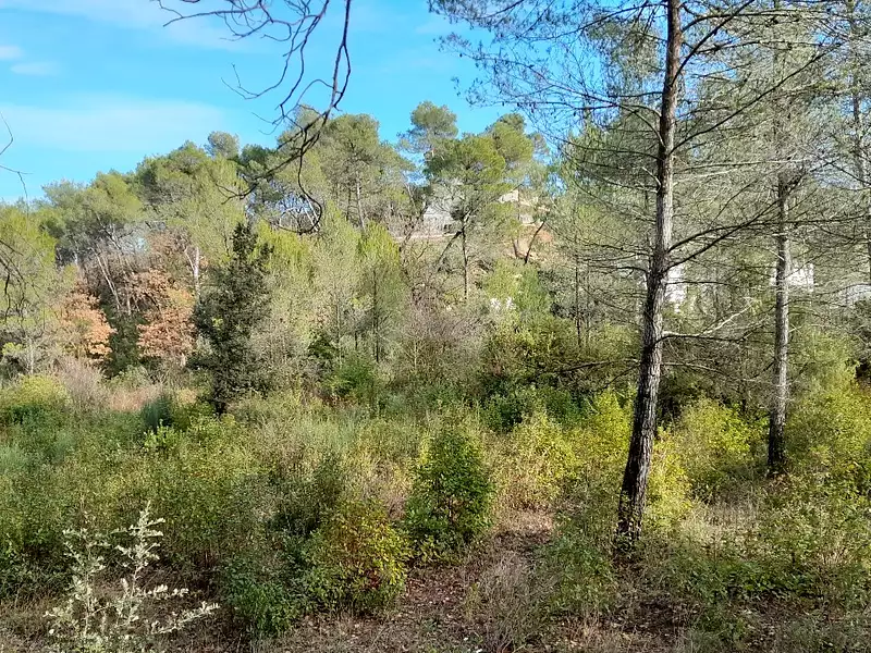 Terrain à bâtir, 620 m² - Brignoles (83170)