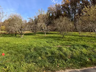 Maison neuve, 90 m²