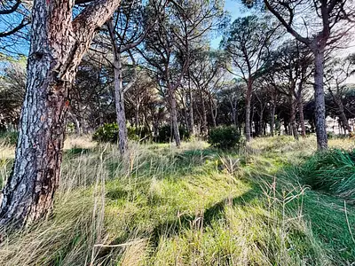 Terrain à bâtir, 2 150 m²