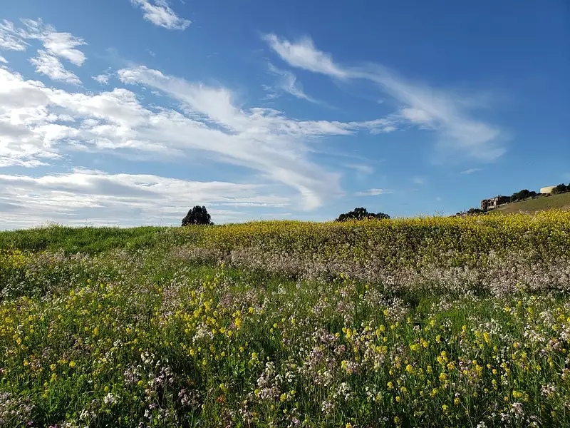 Terrain à bâtir, 474 m² - Mirebeau-sur-Bèze (21310)