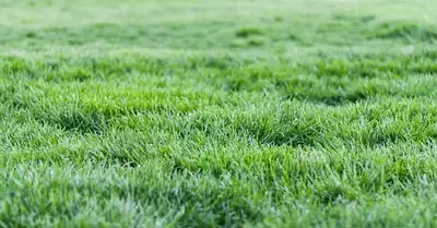 Maison neuve, 135 m²