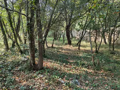 Terrain à bâtir, 717 m²