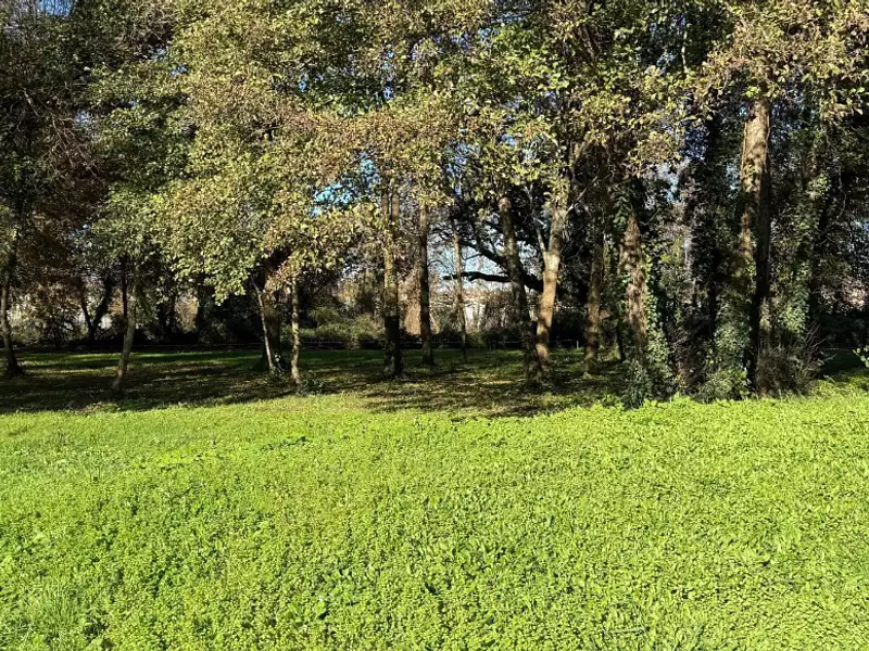 Terrain à bâtir, 900 m² - Cestas (33610)