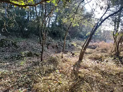 Terrain à bâtir, 505 m²