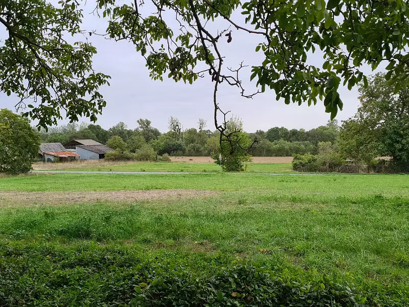 Maison neuve, 75 m² - Panzoult (37220)
