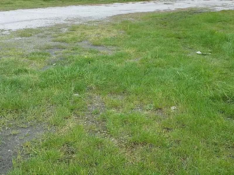 Terrain à bâtir, 1 000 m² - Chérac (17610)