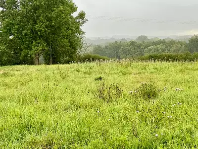 Maison neuve, 140 m²