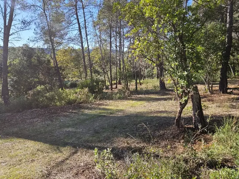 Terrain à bâtir, 1 201 m² - Bagnols-en-Forêt (83600)